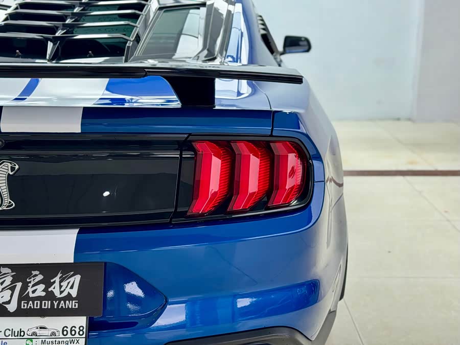 Ford Mustang 2019 car image #24