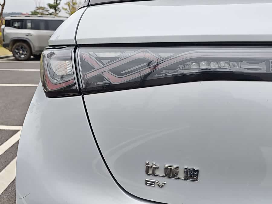 BYD Dolphin 2021 imagen de coche #24