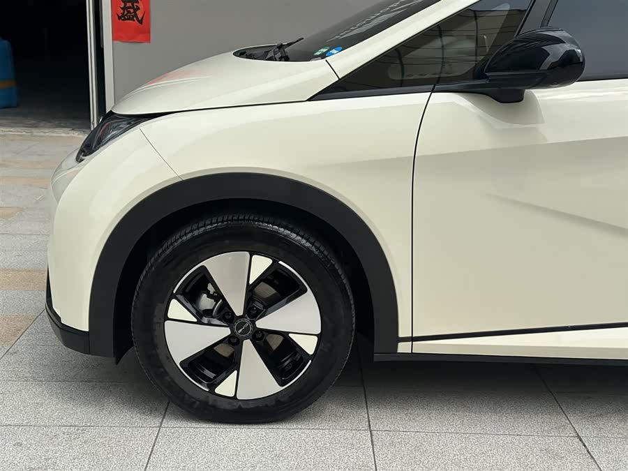 BYD Dolphin 2023 imagem de carro #24