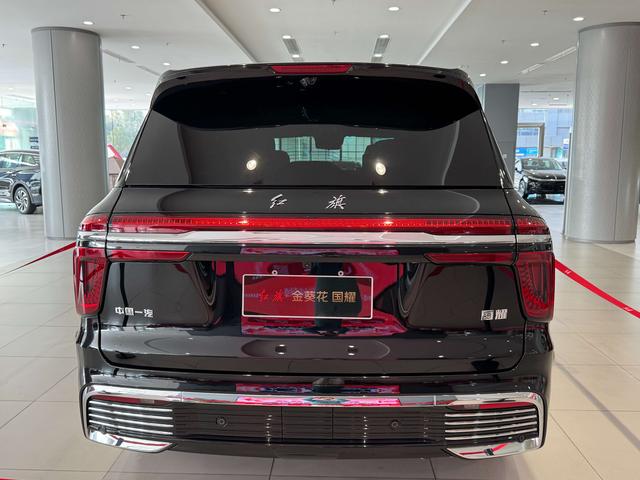 HongQi GuoYao car image #24