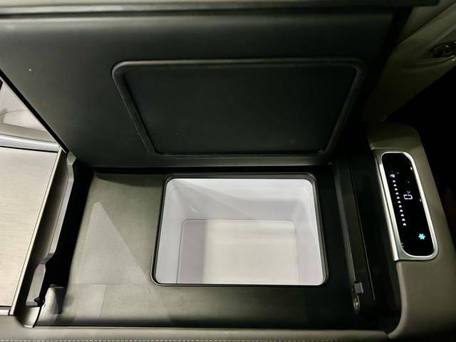 Denza N9 2025 car image #24