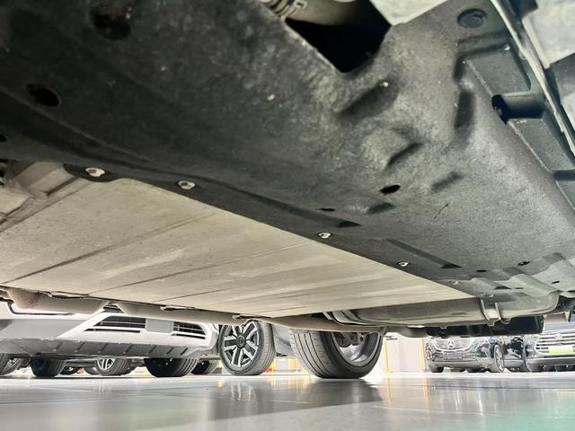 Denza X 2020 car image #24