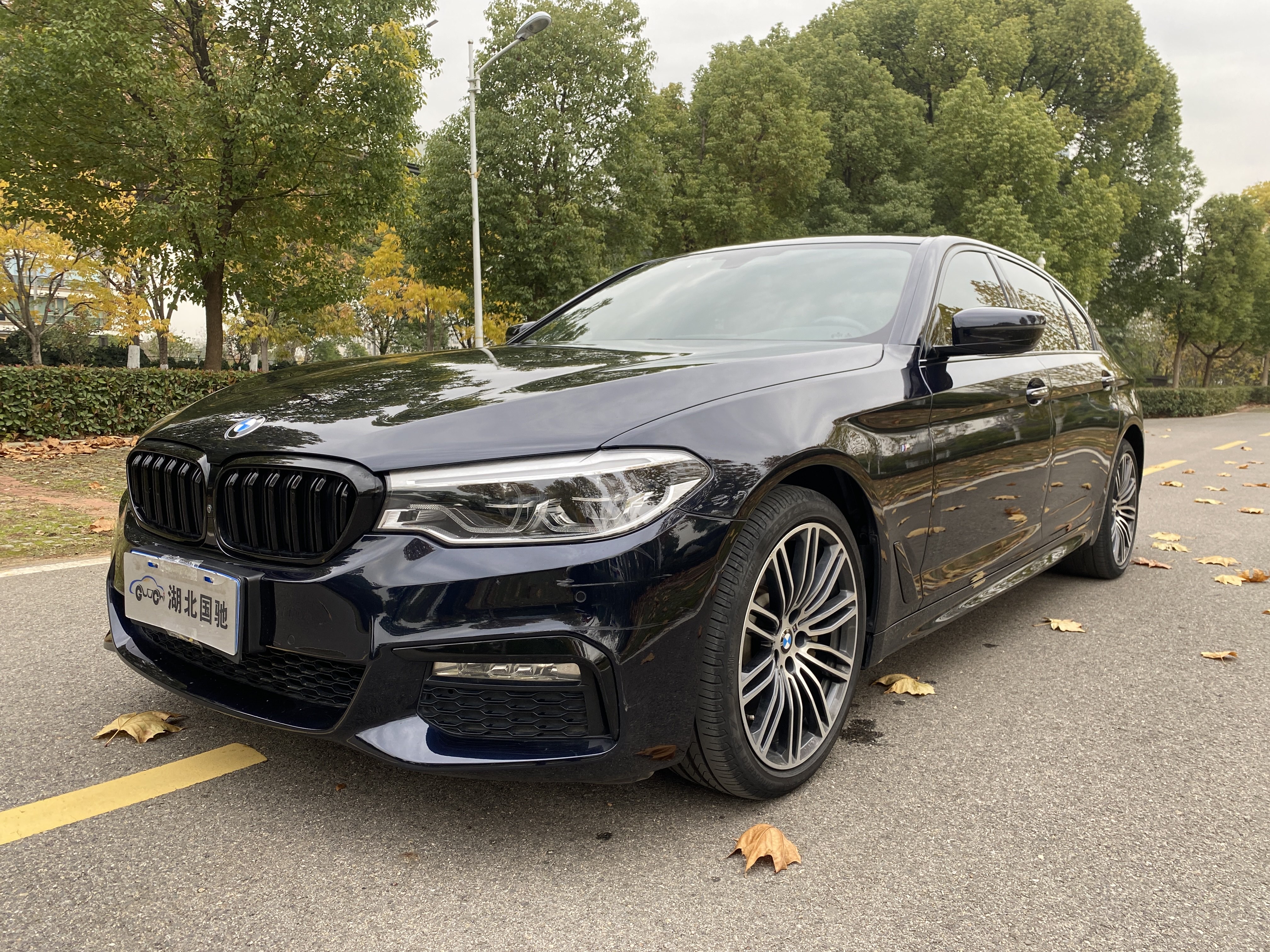 BMW 5 Series 2018 #24 BMW 5 Series 2018 car image #24
