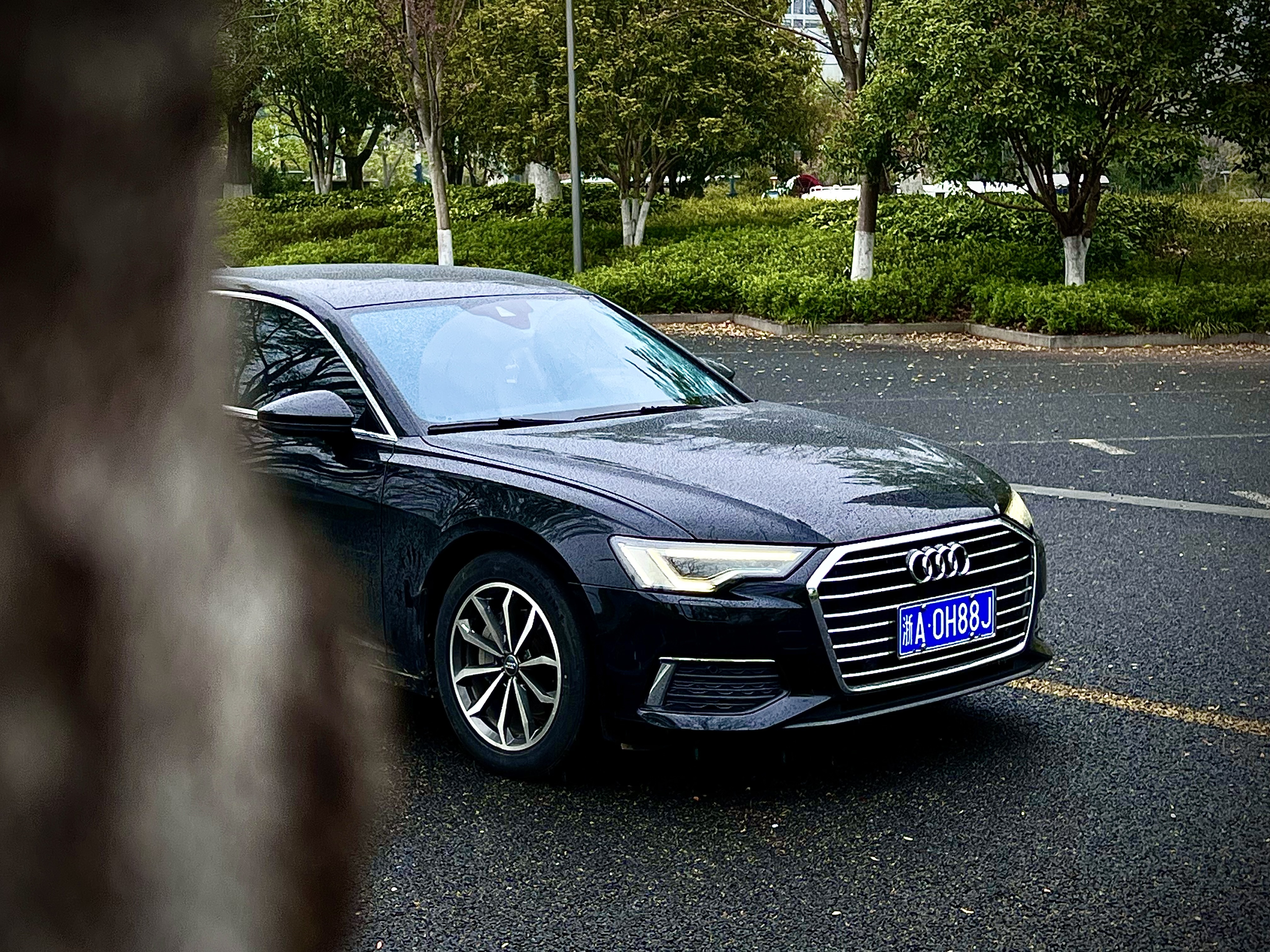 Audi A6L 2020 imagen de coche #24