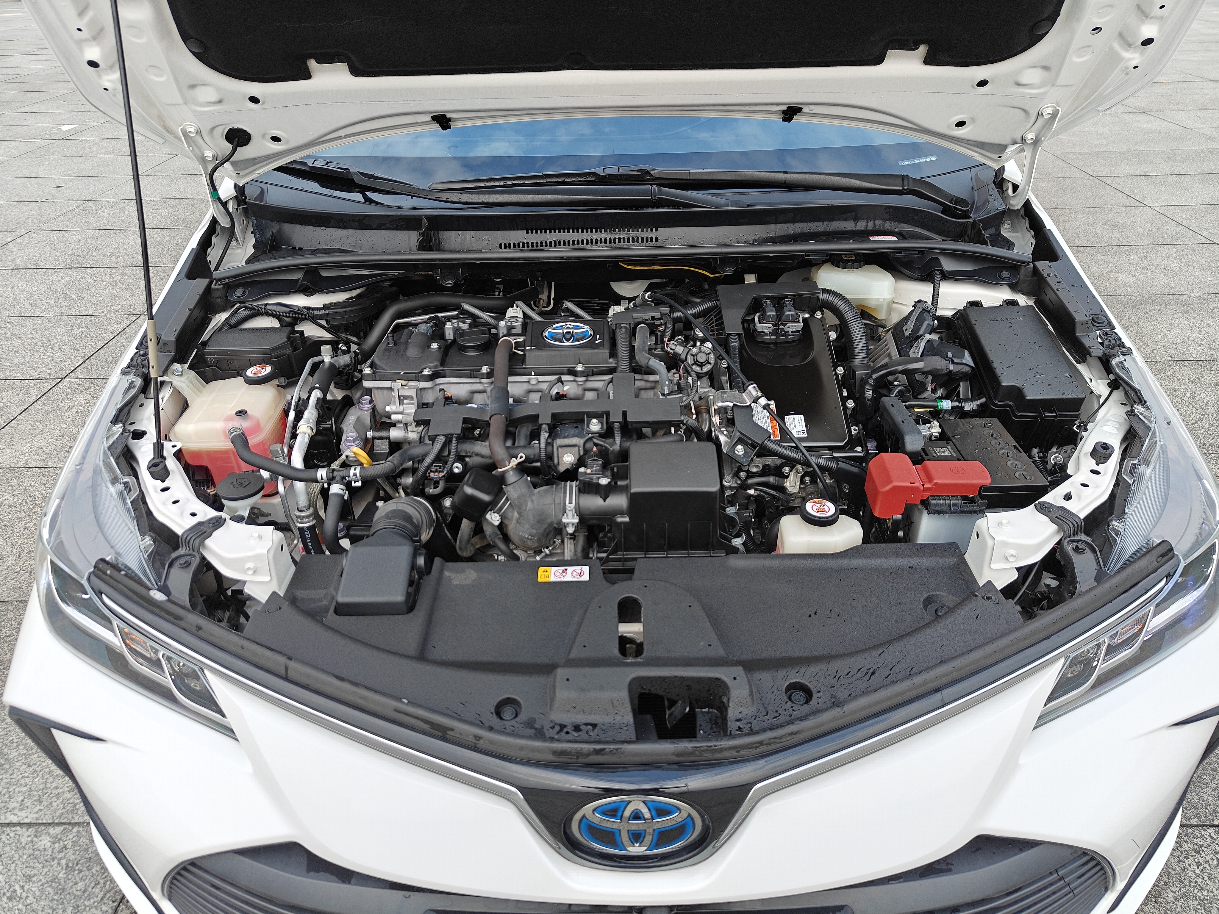 Toyota Corolla 2020 #24 Toyota Corolla 2020 car image #24