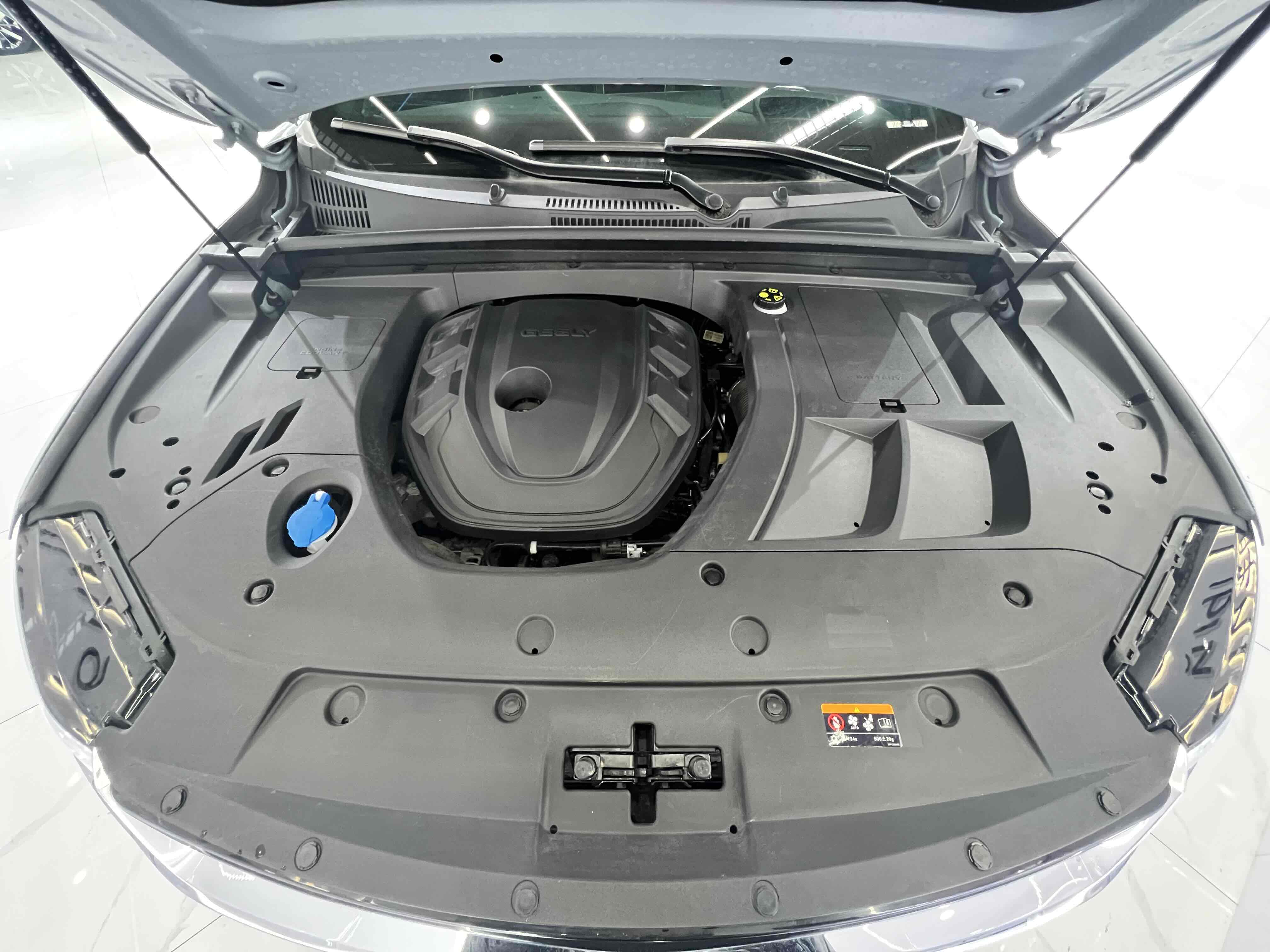 GEELY Tugella S 2021 car image #24