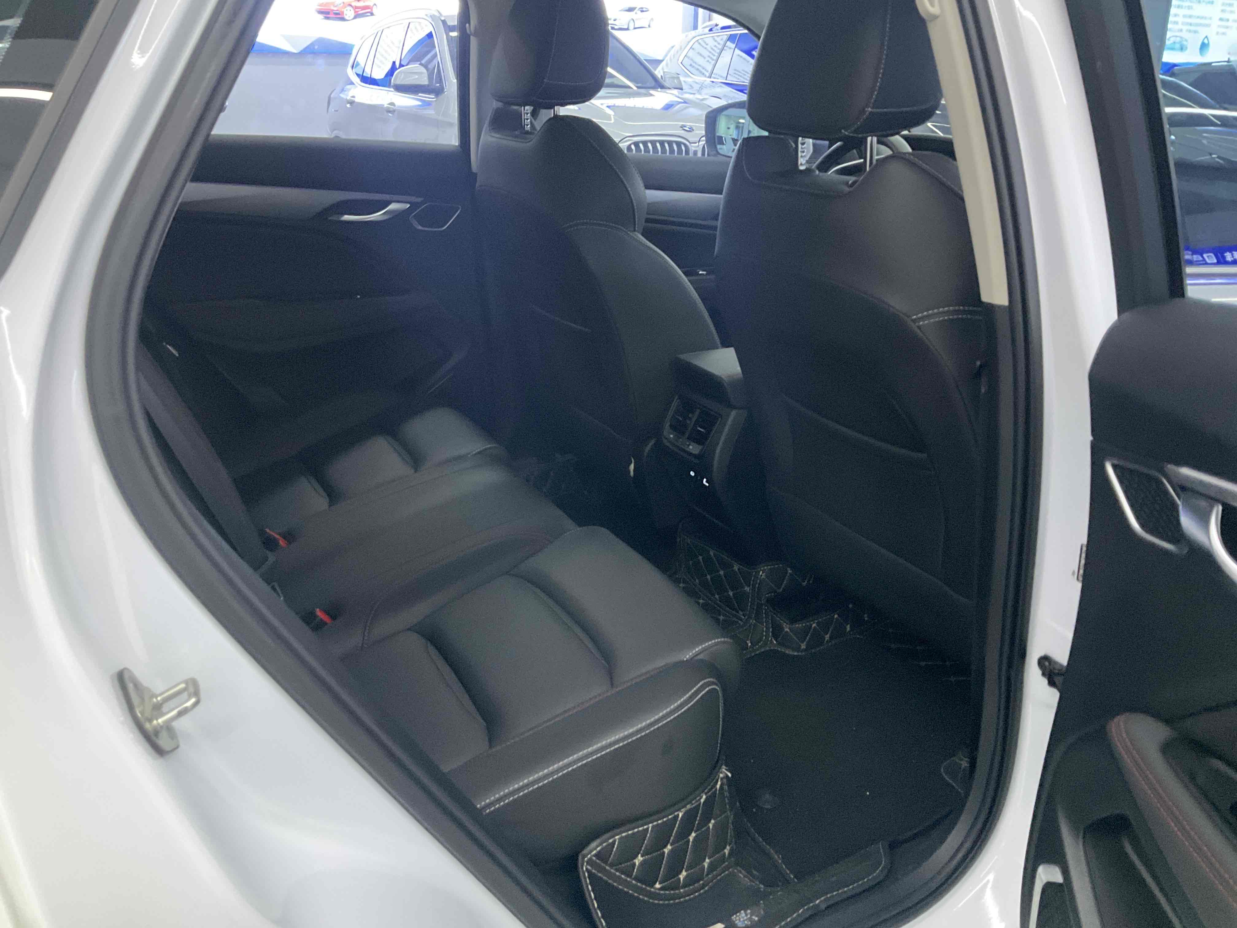 GEELY Tugella S 2022 car image #24