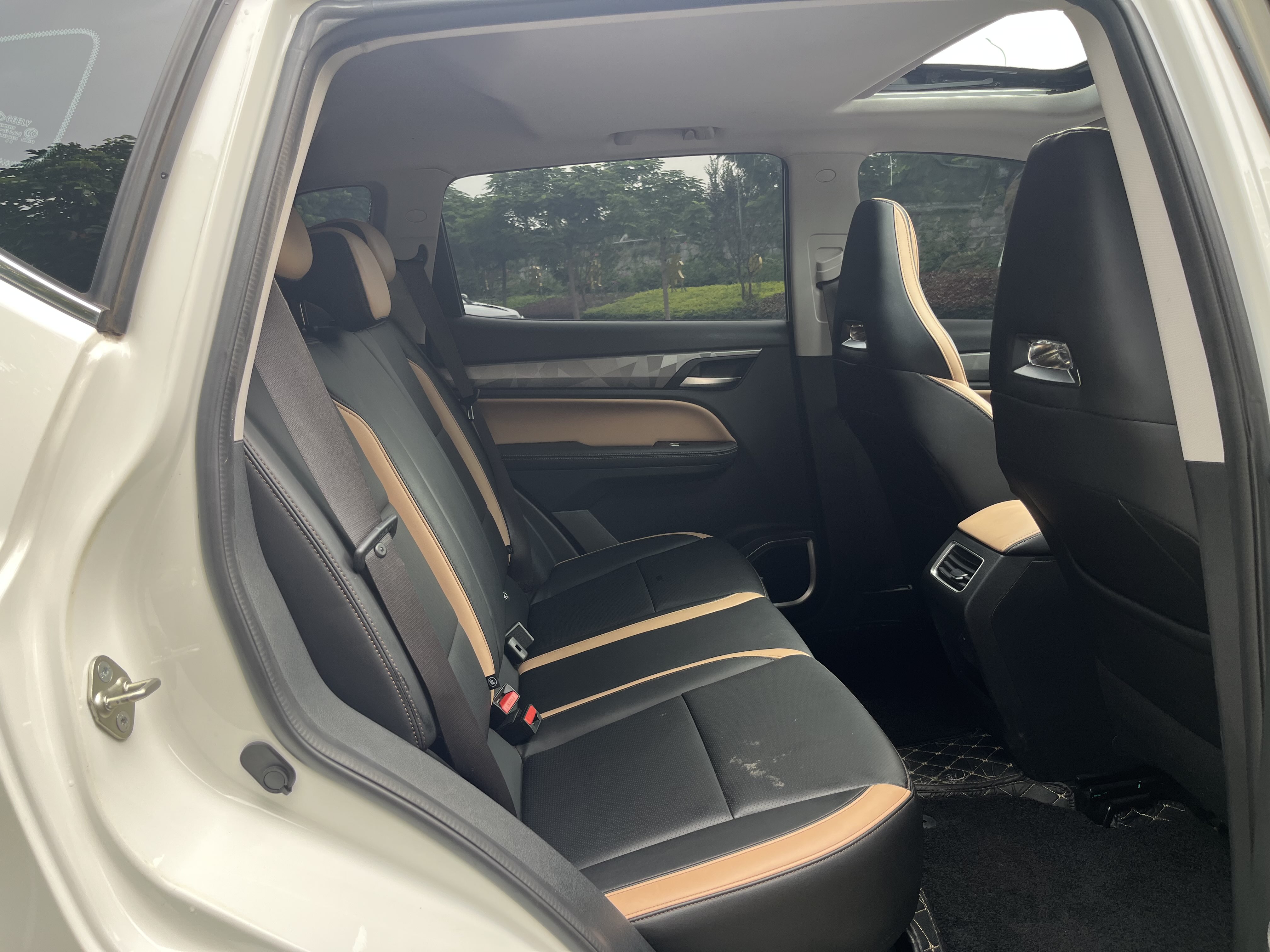 GEELY OkavangoPRO 2024 car image #24