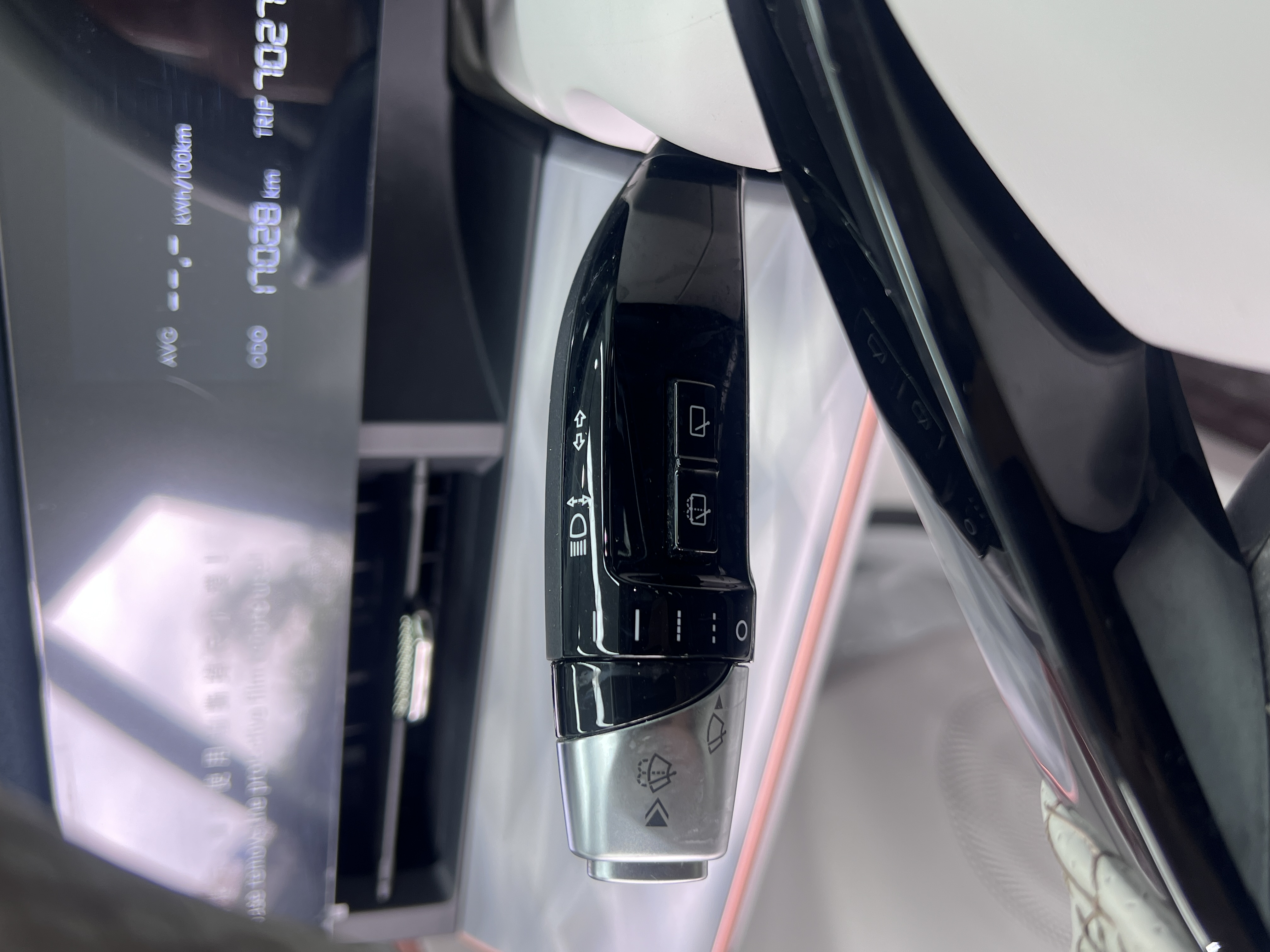 Neta L 2024 imagen de coche #24