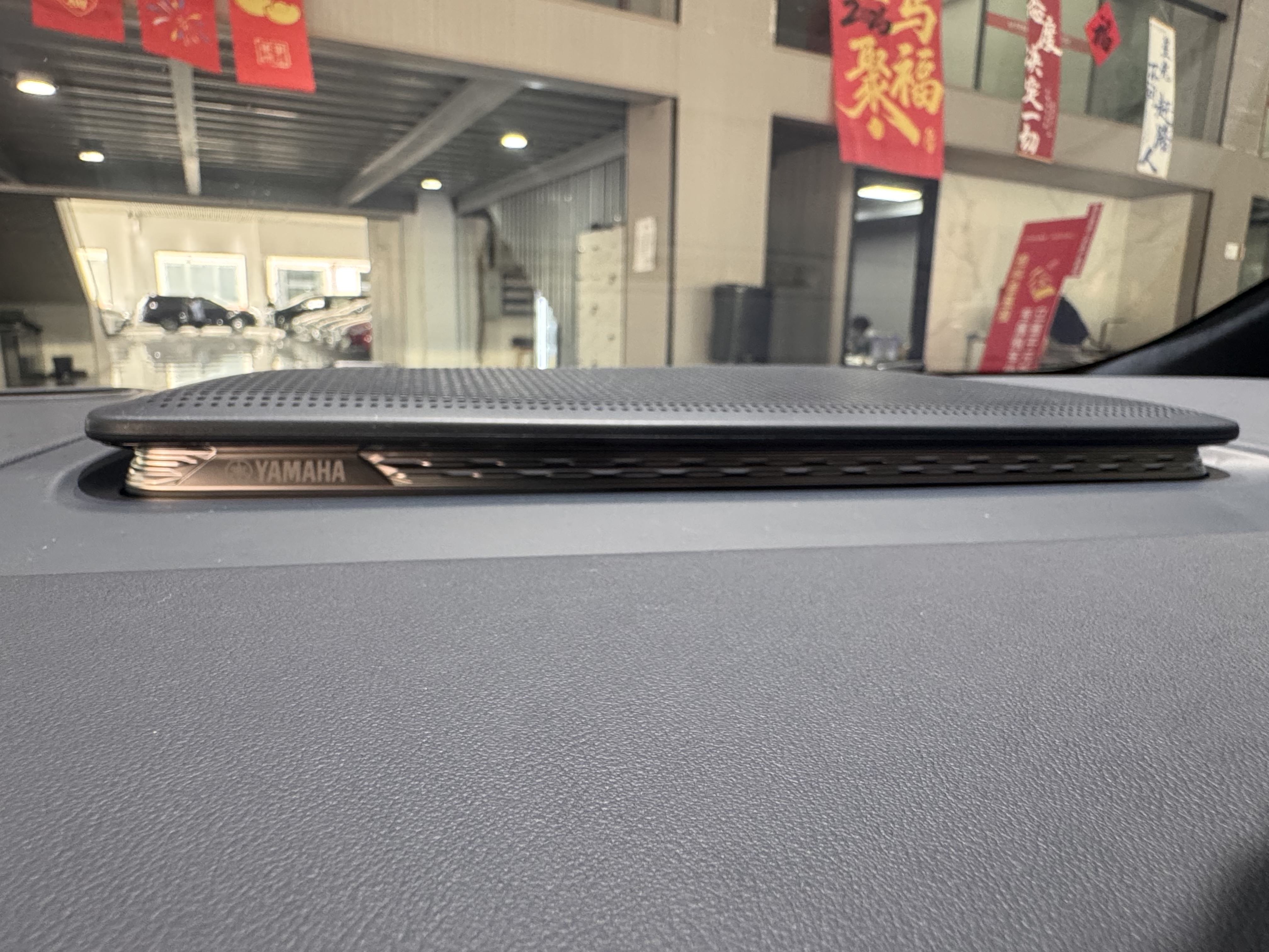 极氪 极氪009 2024 汽车图片 #24