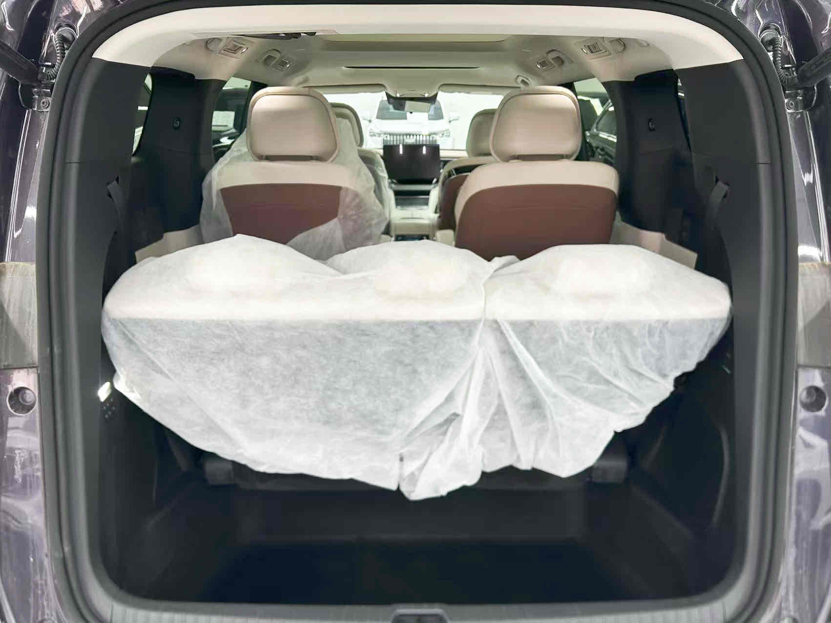 BYD Xia 2025 صورة سيارة #24