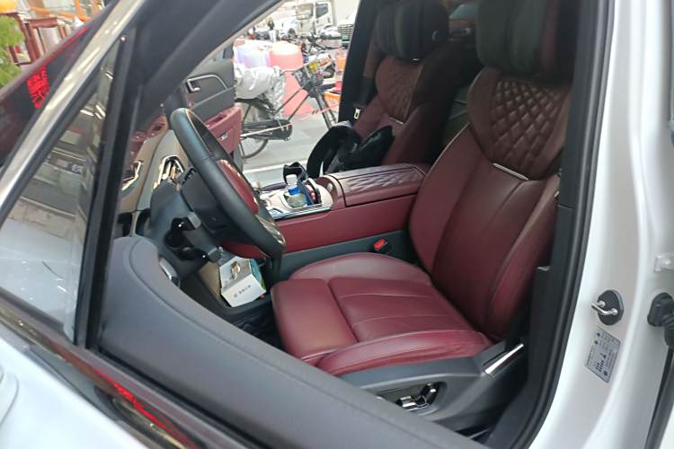 HongQi E-HS9 2023 car image #24