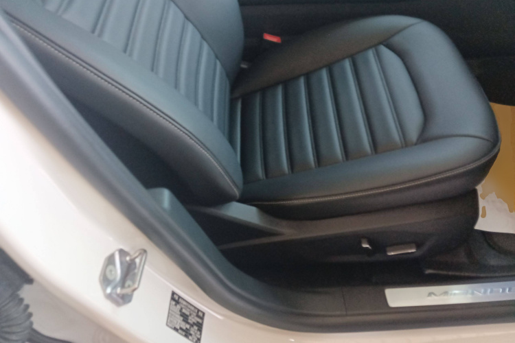 Ford Mondeo New Energy 2020 car image #24