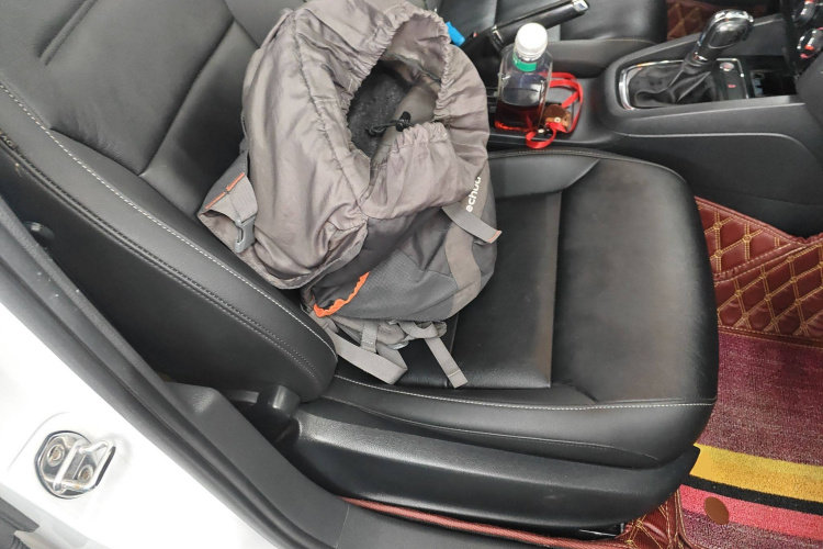 Volkswagen Sagitar 2019 immagine di auto #24