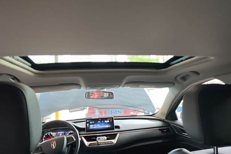 HongQi S9 2021 car image #24