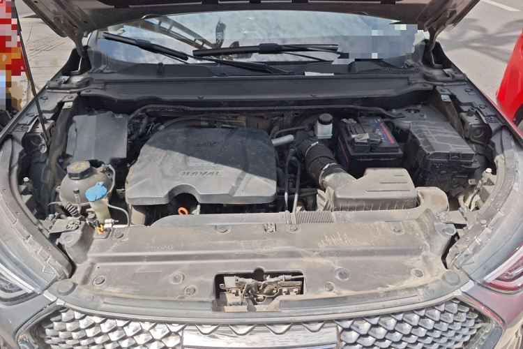 Haval Jolion 2021 car image #24