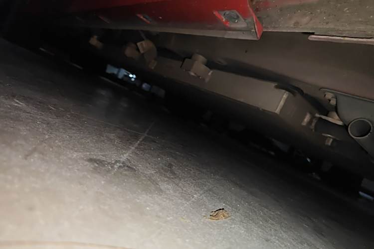 BYD e2 2020 #24 BYD e2 2020 immagine di auto #24