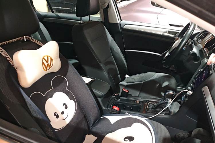 Volkswagen Golf Pure Electric 2020 car image #24