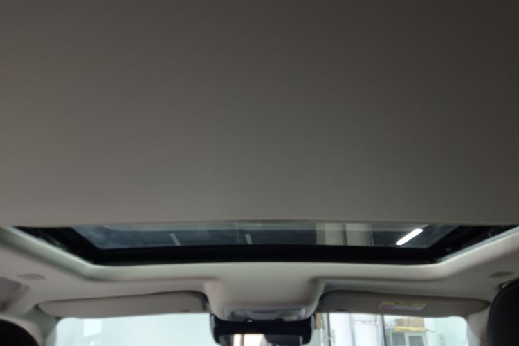 Tank 300 New Energy 2025 car image #24