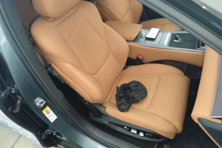 BYD HanL 2025 car image #24