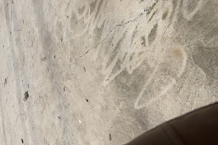 BYD e1 2020 car image #24