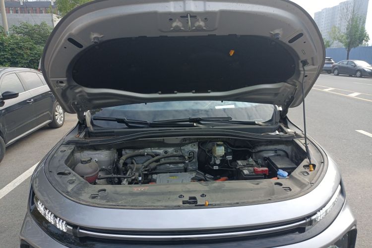 睿蓝汽车 睿蓝9 2023 汽车图片 #24