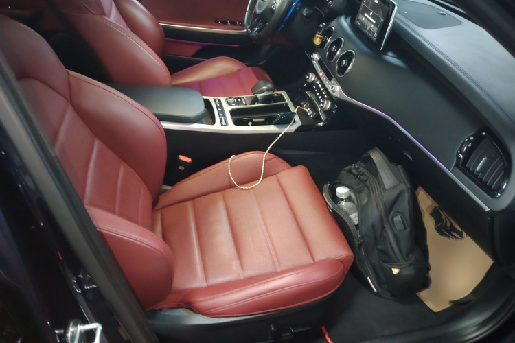 起亚 斯汀格 2018 汽车图片 #24