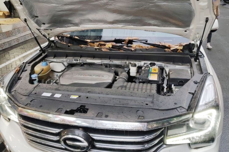 GAC Trumpchi GS7 2018 car image #24