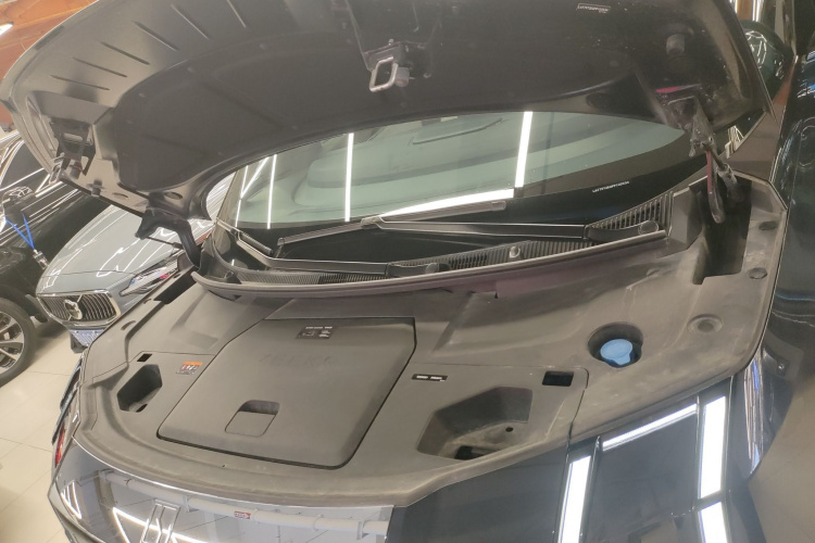 Volkswagen Phideon 2023 car image #24