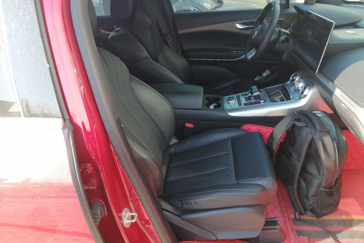 Denza X 2020 car image #24