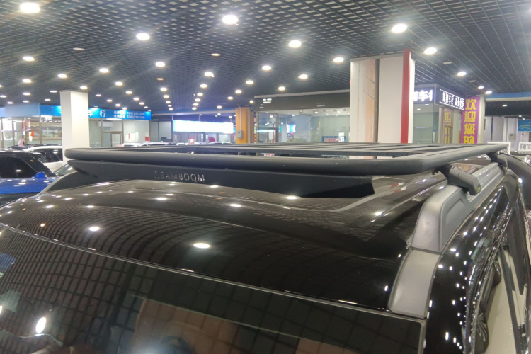 Haval Raptor New Energy 2024 car image #24