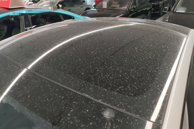 特斯拉 Model 3 2023 汽车图片 #24