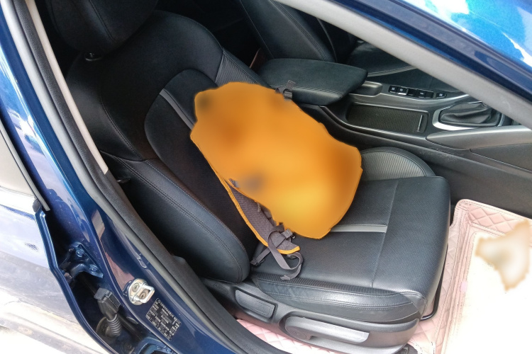 Hyundai Lafesta 2019 car image #24