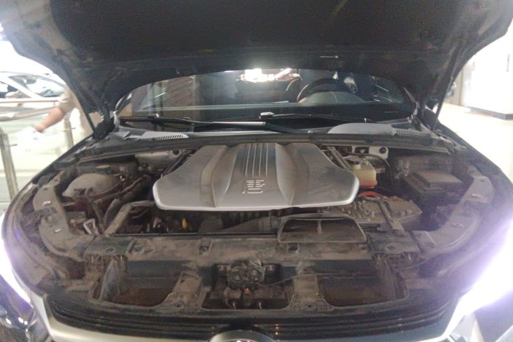 BYD Tang New Energy 2021 immagine di auto #24