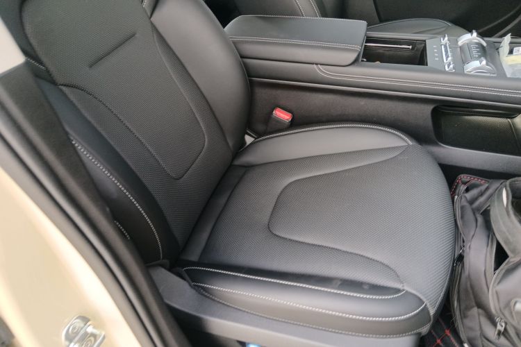 Tank 300 New Energy 2025 car image #24