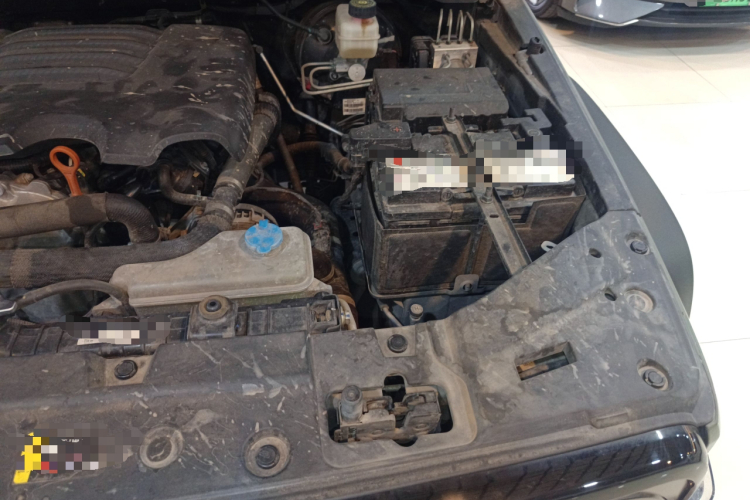 Tank 300 2022 car image #24