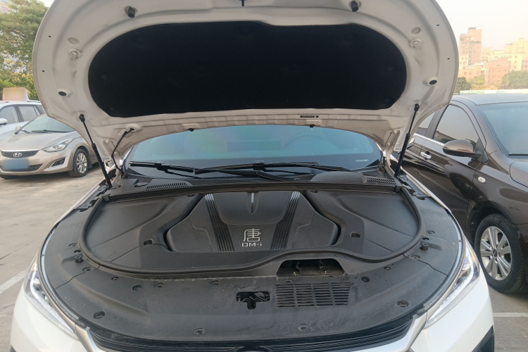 BYD Tang New Energy 2023 car image #24