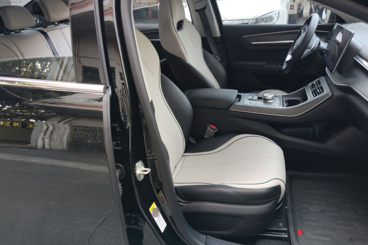 BYD Destroyer 05 2024 car image #24