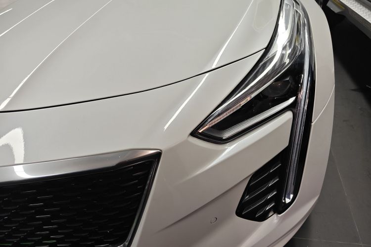 2019 #24 2019 car image #24