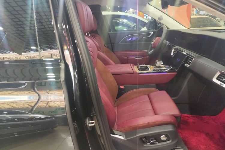 HongQi E-HS9 2021 immagine di auto #24