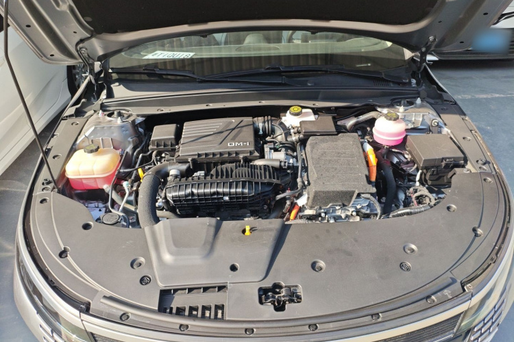 BYD Destroyer 05 2023 car image #24