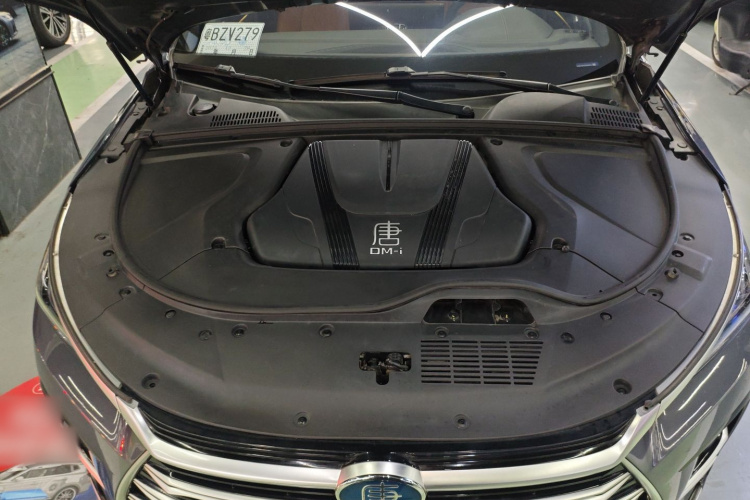 BYD Tang New Energy 2023 #24 BYD Tang New Energy 2023 car image #24
