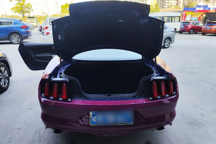 Ford 2015 car image #24