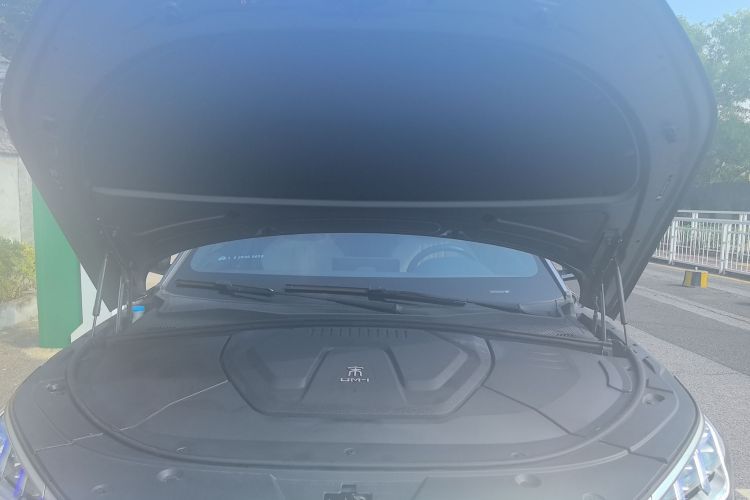 BYD Song Plus New Energy 2021 car image #24