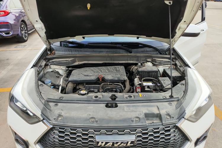 Haval H6 Coupe 2020 #24 Haval H6 Coupe 2020 car image #24