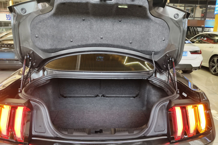 Ford Mustang 2020 car image #24