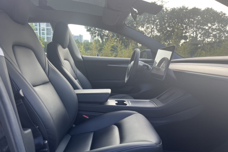 Tesla Model 3 2021 car image #24