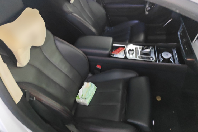 BYD Tang New Energy 2020 car image #24