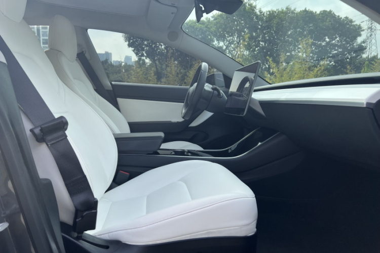 特斯拉 Model 3(进口) 2019 汽车图片 #24