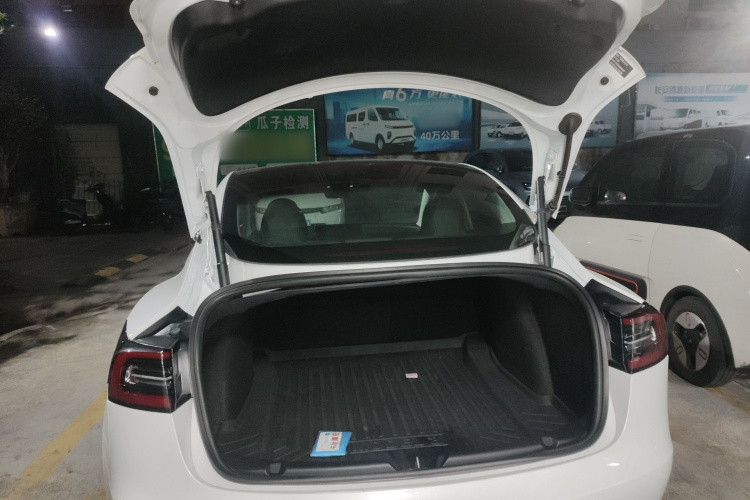 Tesla Model 3 2020 #24 Tesla Model 3 2020 car image #24